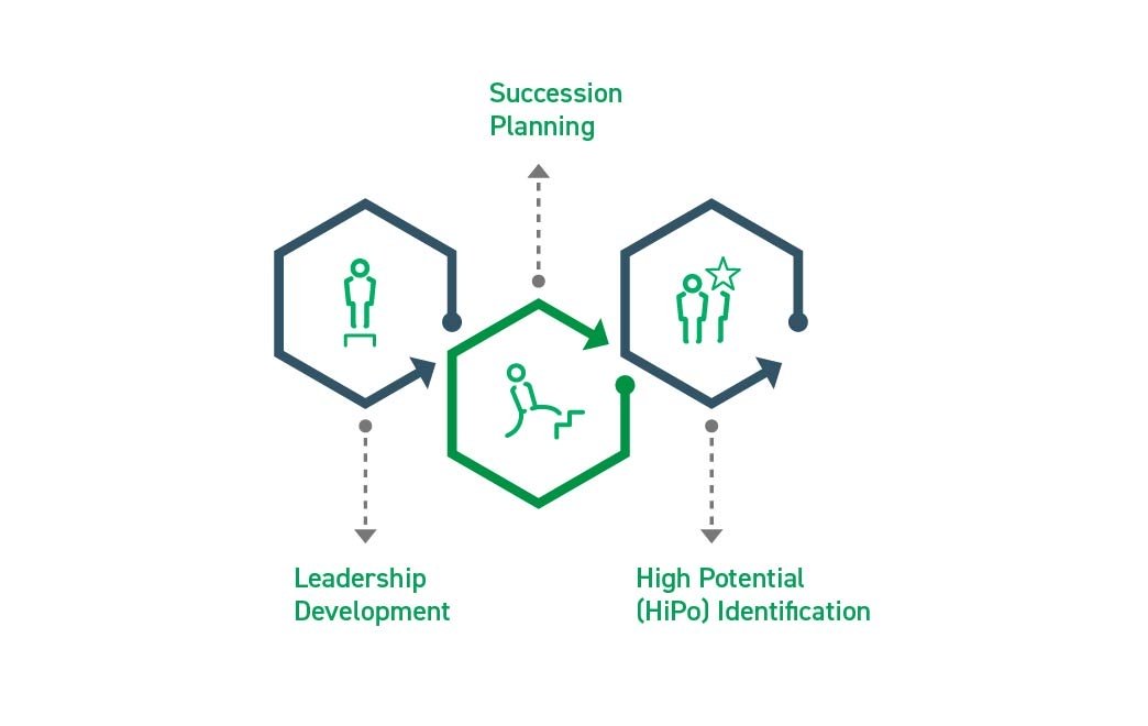 Organizational Planning - Leadership, Succession Planning, High Potential Identification